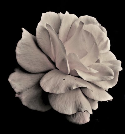 living geometry,2019,(photography) 作： Alex Caminker