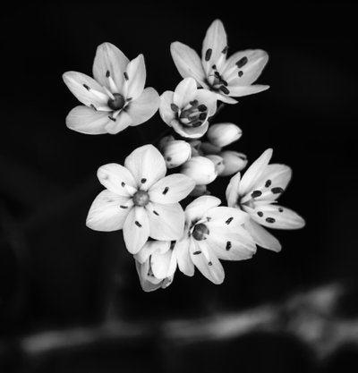 relation,2019,(photography) 作： Alex Caminker