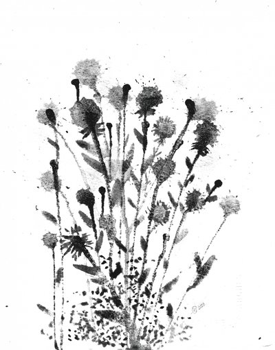 アブストラクト・インク・ブルームズ 作： 