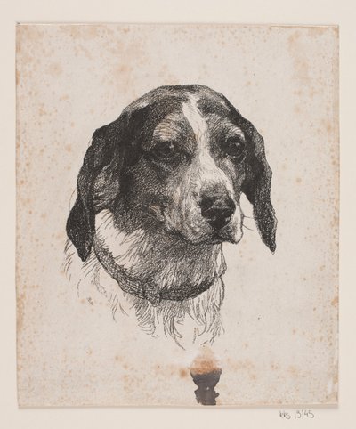 犬の頭 作： Alexander Blom