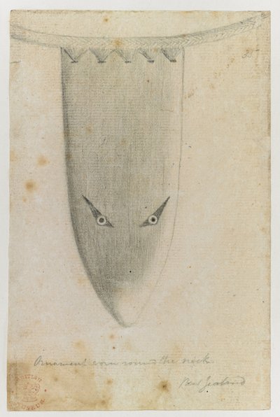 クック船長の最初の航海を描いた、インドのインクで描かれた「ドローイング」からの首の周りの装飾カバー 作： Alexander Buchan