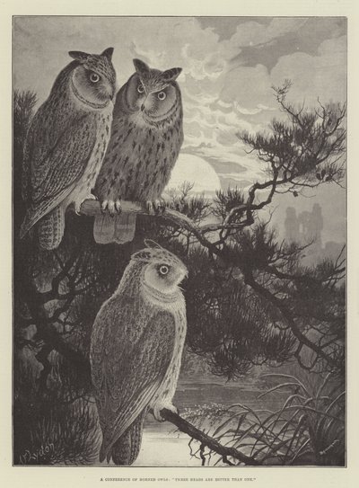 ツノフクロウの会議、3つの頭は1つよりも優れています 作： Alexander Francis Lydon