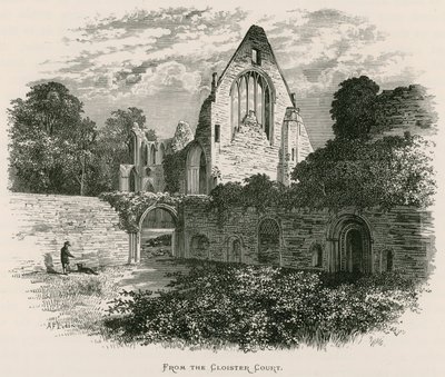 ドライバーグ修道院、回廊裁判所から 作： Alexander Francis Lydon