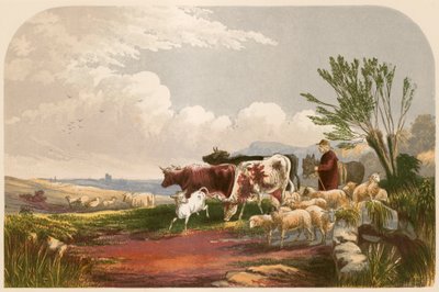 ゴールドスミスの無人村のイラスト 作： Alexander Francis Lydon