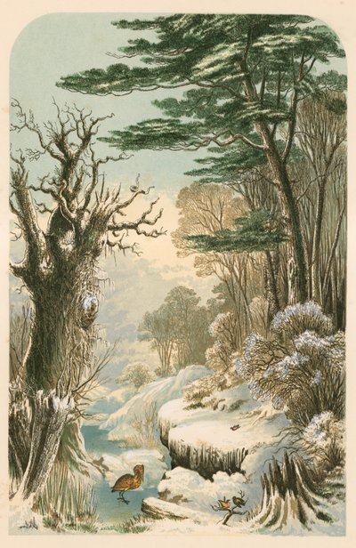 冬のロングフェローの森のイラスト 作： Alexander Francis Lydon