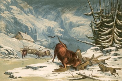 冬のトムソンのオオカミのイラスト 作： Alexander Francis Lydon