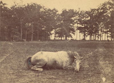 これは死ですか - アンティータムの戦場、1862 年 9 月、1862 年。 作： Alexander Gardner