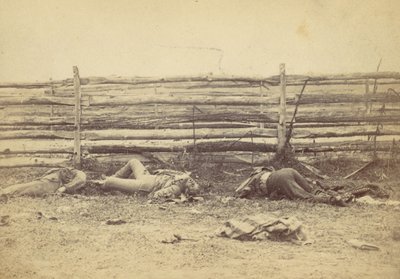 アンティータムの戦いの後、ヘイガーズタウン道路の西側にある野原の眺め、...、1862年。 作： Alexander Gardner