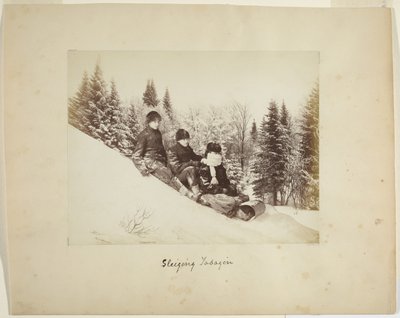 トボガニング、1873年頃（アルブメンプリント（合成）） 作： Alexander Henderson