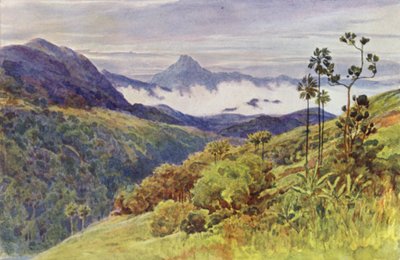 マハウェリ・ガンガの谷の朝もや（カラーリトグラフ 作： Alexander Henry Hallam Murray