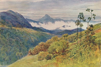 マハヴェッリガンガーの谷の朝の霧、1880年1905年。 作： Alexander Henry Hallam Murray