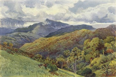 パレケリーの山 作： Alexander Henry Hallam Murray