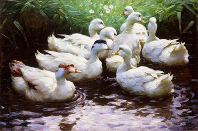陸上（アヒル） 作： Alexander Koester