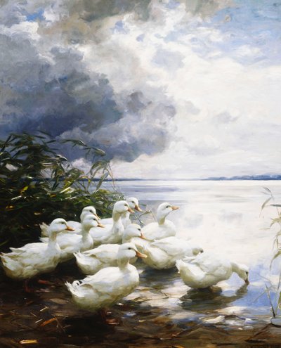 湖のほとりのアヒル 作： Alexander Koester