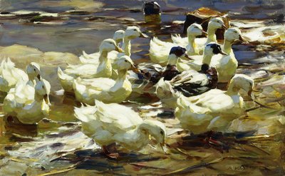 池のアヒル;池のアヒル 作： Alexander Koester