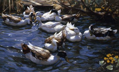 枝の下の葦のアヒル 作： Alexander Koester