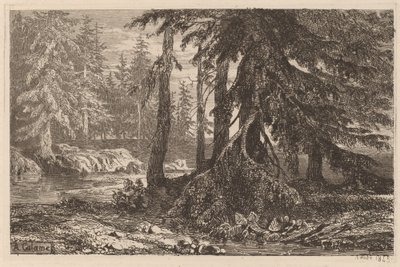 Alexandre Calameによるエッチングの試み、III、pl。 16 作： Alexandre Calame