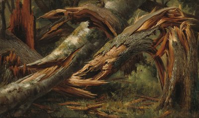 倒木 作： Alexandre Calame