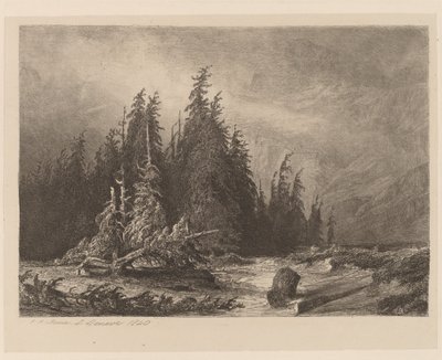 マウンテン パインズ 作： Alexandre Calame