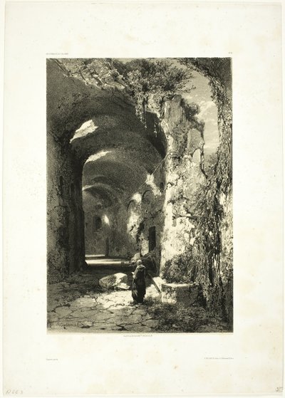 Pouzzoles (ナポリ王国) の円形劇場の廃墟、Oeuvres de A. Calame のプレート 9 作： Alexandre Calame