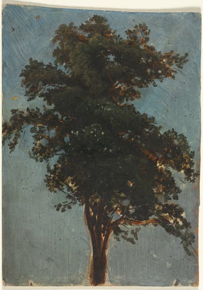 ツリー研究、2番目3番目1800年代。 作： Alexandre Calame