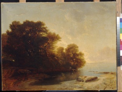 Calame, Alexandre (1810-1864)作「湖の木」。キャンバスに油彩、サイズ：62x81。国立A.プーシキン美術館、モスクワ 作： Alexandre Calame