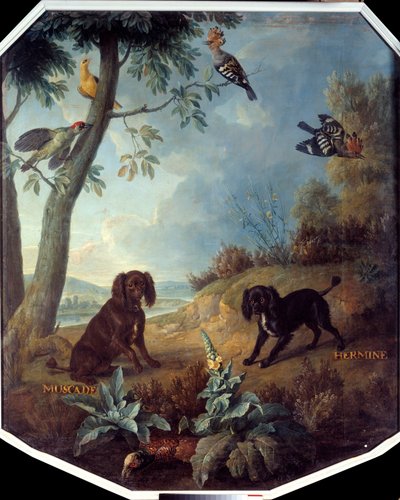 ルイ14世（1638-1715）の愛犬、ナツメグとエルミーヌ。フランソワ・デスポータス（1661-1743）による絵画 作： Alexandre Francois Desportes