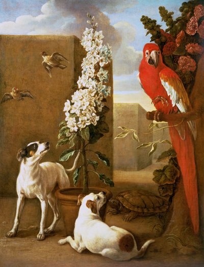 犬とオウム 作： Alexandre Francois Desportes
