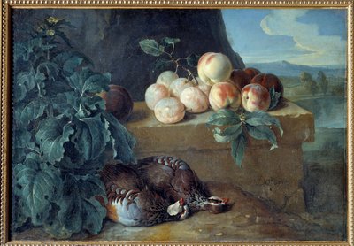 桃とオウムの絵フランソワ・デスポータス（1661-1743）の絵 作： Alexandre Francois Desportes