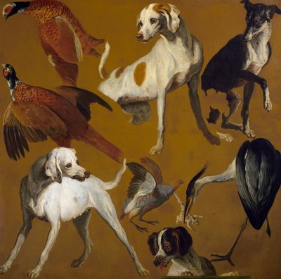 アレクサンドル・フランソワ・デスポータス（1661-1743）作「鳥と犬の研究」（フランス 作： Alexandre Francois Desportes