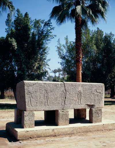エジプト、カイロ、古代メンフィス、彫刻された石棺 作： Nicolas Toussaint Charlet