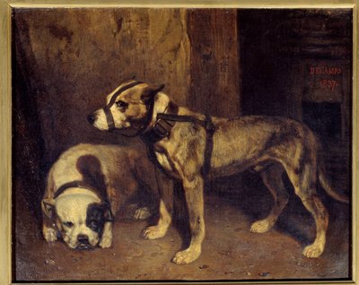 スコットランドのブルドッグとテリアの絵 アレクサンドル・ガブリエル・デカン（1803-1860）作 19世紀 日1,04x1,34 m 作： Alexandre Gabriel Decamps