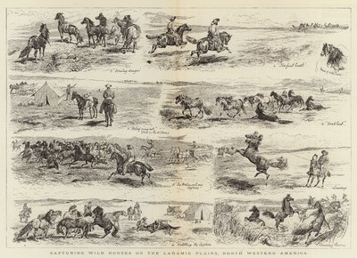 北西アメリカ、ララミー平原で野生の馬を捕まえる 作： Alfred Chantrey Corbould
