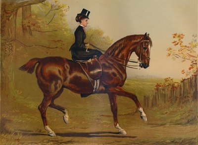 カバーすること-肖像画、c1879。 作： Alfred Chantrey Corbould