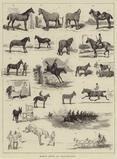 マンチェスターでの馬ショー 作： Alfred Chantrey Corbould