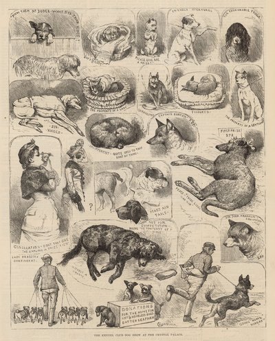 クリスタルパレスでの犬小屋クラブドッグショー 作： Alfred Chantrey Corbould