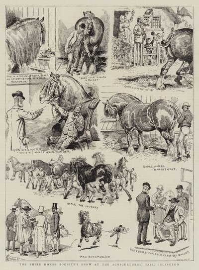 イズリントン農業ホールでのシャイアホース協会のショー 作： Alfred Chantrey Corbould