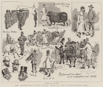 農業ホールでのスミスフィールドクラブ牛ショー 作： Alfred Chantrey Corbould