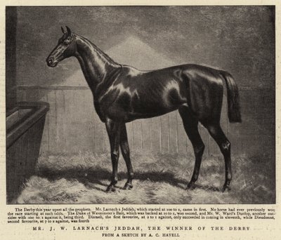ダービーの勝者であるJWラーナックスジェッダ氏 作： Alfred Charles Havell