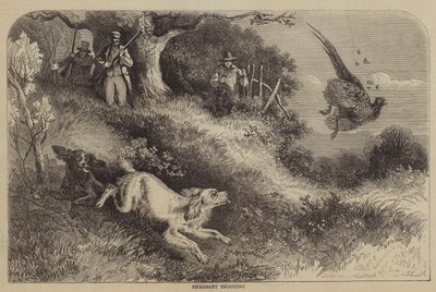 キジ撮影 作： Alfred Courbould