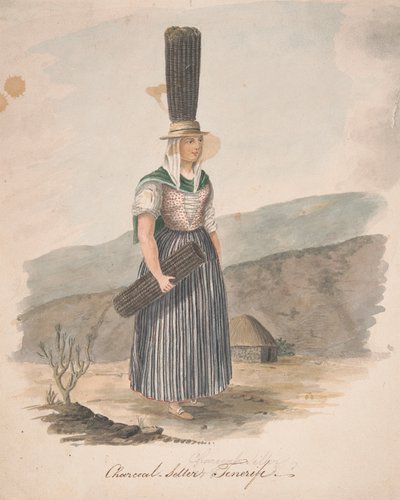 Vendedor de carvão, Tenerife 作： Alfred Diston