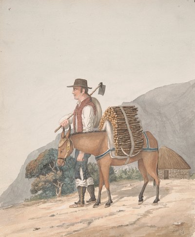 薪売り、テネリフェ島 作： Alfred Diston