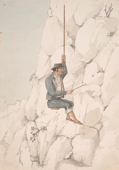 Gomero, Orchilla Gatherer 作： Alfred Diston