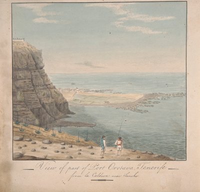 ポート オロタバ、テネリフェ島、サンチョ近くのラ カルデバからの眺め 作： Alfred Diston