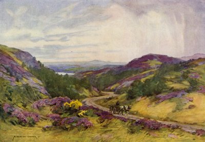 デンマーク: Raebild Hills、オールボー近く (カラー リソ) 作： Alfred Heaton Cooper