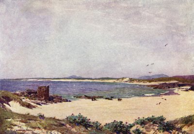 ゴーティーン湾、コネマラ 作： Alfred Heaton Cooper
