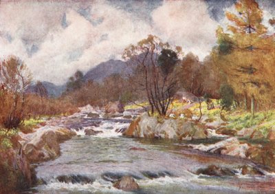 湖水地方銀色のダドンのほとりの水仙（カラーリトグラフ） 作： Alfred Heaton Cooper