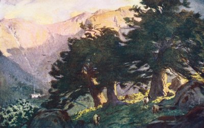 湖水地方：ボローデールのイチイ、夕方（カラーリトグラフ） 作： Alfred Heaton Cooper