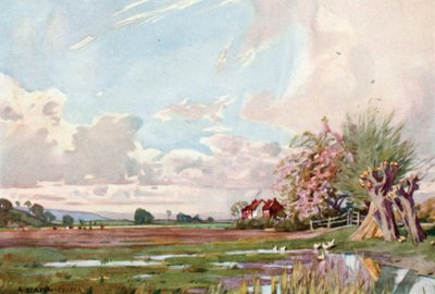 The Isle of Athelney（カラーリトグラフ 作： Alfred Heaton Cooper