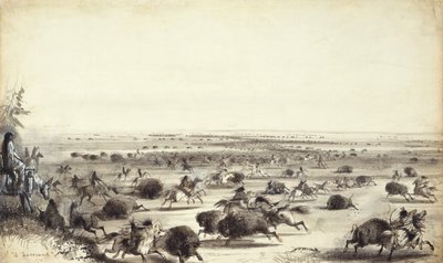 インディアンによるバッファローの「サラウンド」、1858年頃（紙にウォッシュ） 作： Alfred Jacob Miller